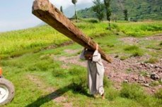 PAKN-06-1248-MFmv.jpg